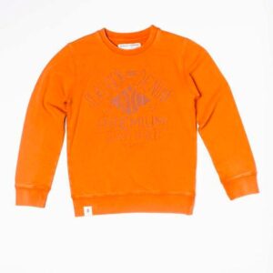 Mikina chlapecká s potiskem