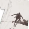 Free 3