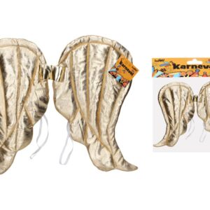 Set karneval - zlaté křídla 50x40 cm